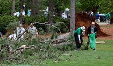Pine trees fall near Masters patrons, nobody injured